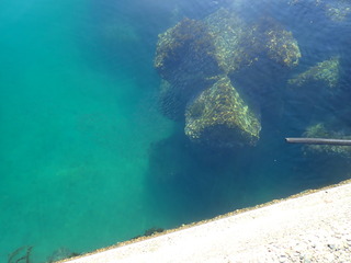 P1200135.JPG