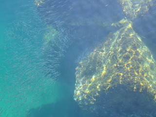 P1200136.JPG