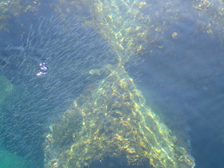 P1200137.JPG