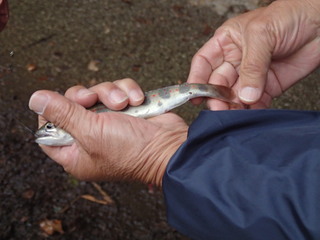 P3010016.JPG