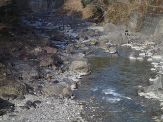 P3010020.JPG