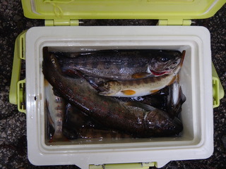 P3010022.JPG