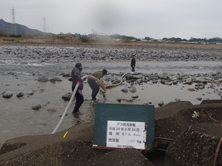P3260406.JPG