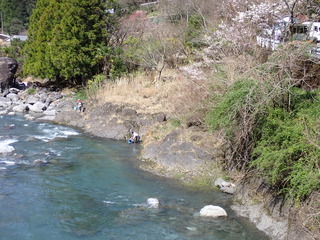 P3310038.JPG
