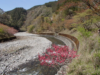 P4120005.JPG