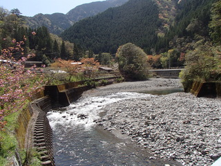 P4120006.JPG