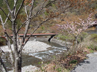 P4120010.JPG