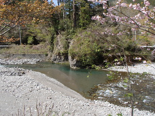P4120011.JPG