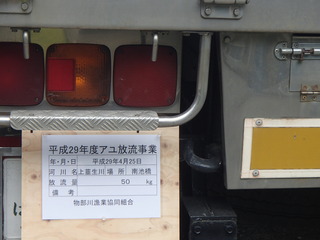 P4250067.JPG