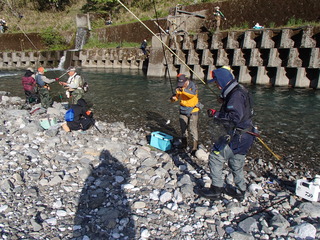 P4290045t.JPG