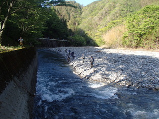 P4290056t.JPG
