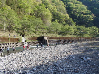 P4290057t.JPG