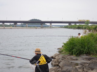 P5090143.JPG