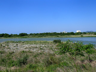 P5140008.JPG