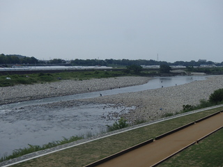 P5300046.JPG