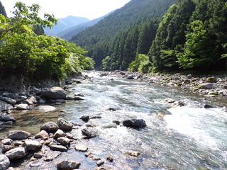 P6010005.JPG