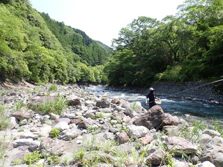 P6010007.JPG