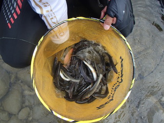 P6100059.JPG