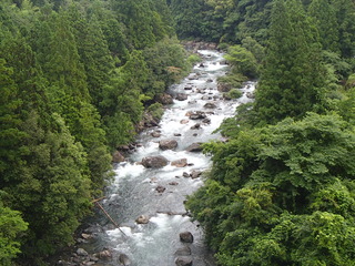 P6282205.JPG
