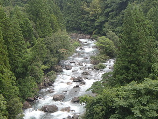 P6292206.JPG