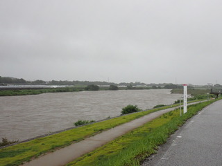 P7050025.JPG
