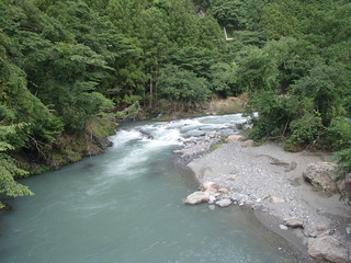 P7100029.JPG