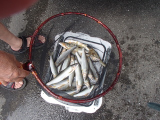 P7200788.JPG