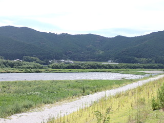 P8190001.JPG