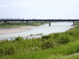 P8210223.JPG