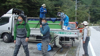PA170474.JPG