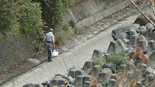 PA310009.JPG