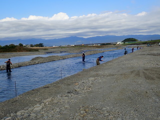 PB122727.JPG