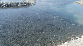 PB170025.JPG