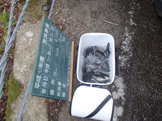 PC020029.JPG