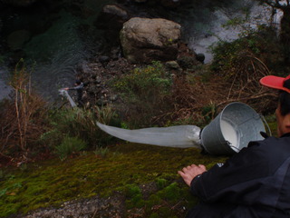PC040027.JPG